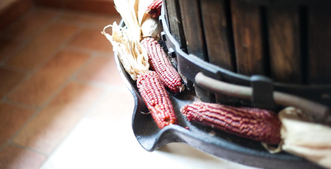 Agriturismo Principe Pio Villa Crespino ภายนอก รูปภาพ